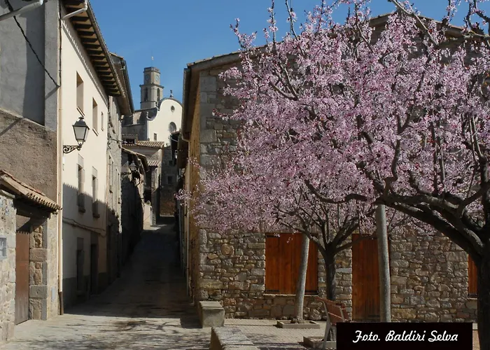 El Turo Daire Sant Boi de Llucanes